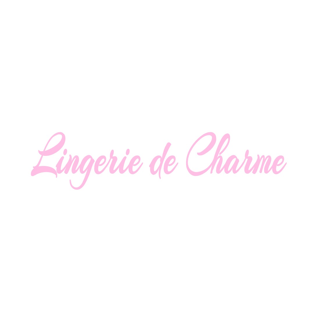 LINGERIE DE CHARME GERMIGNY-SUR-LOIRE